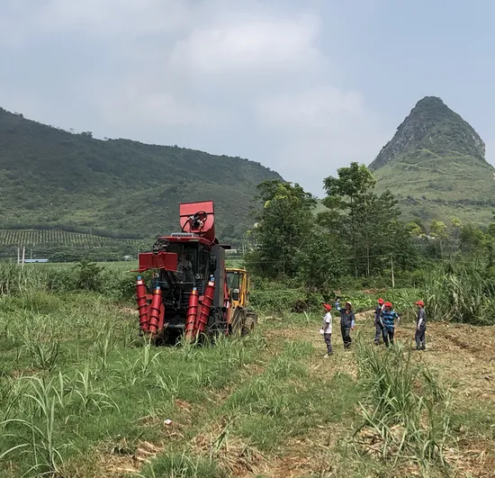 Factory Sale Self-Proprlled Sugarcane Havest Cutting Machine for Corn