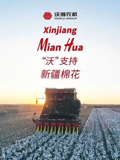 Great Productivity 6 Rows Hydraulic Drive Cotton Harvester with 2 Years Warranty