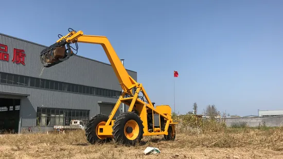 Chinese Sugarcane Wheel Loader for Grabbing Heavy Agricultural Fruits with 1 Year Guarantee