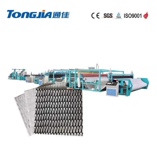PE Geo Mesh Drainage Net Composite Fabric 3D Geonet Machine