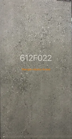 Wall Rustic Matt Porcelain Floor Tile Bedroom Porcelnato Flooring Ceramic