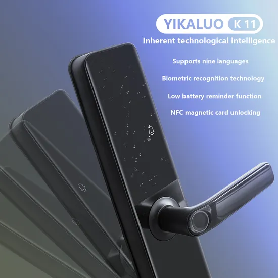 China Factory High Quality Electric Support Nine National Languages Modern High-Tech 3D Password Aluminum Alloy Fingerprint Lock Door Lock
