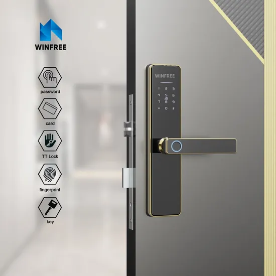 Stainless Steel Home Apartment Electronic Digital Fingerprint Bluetooth Ttlock Smart Door Lock
