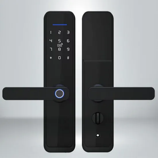 Remote Control Electronic Fingerprint Password Smart Office Hotel Door Lock