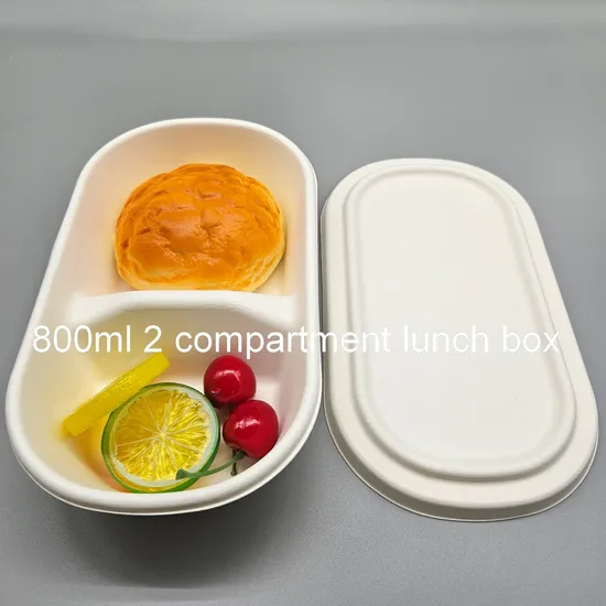 Bagasse Pulp Disposable Biodegradable Food Container 800ml 2 Compartment Lunch Box