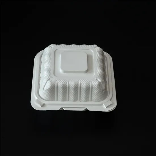 Sugarcane Bagasse Tableware Clamshell Disposable Plastic Take out Food Container