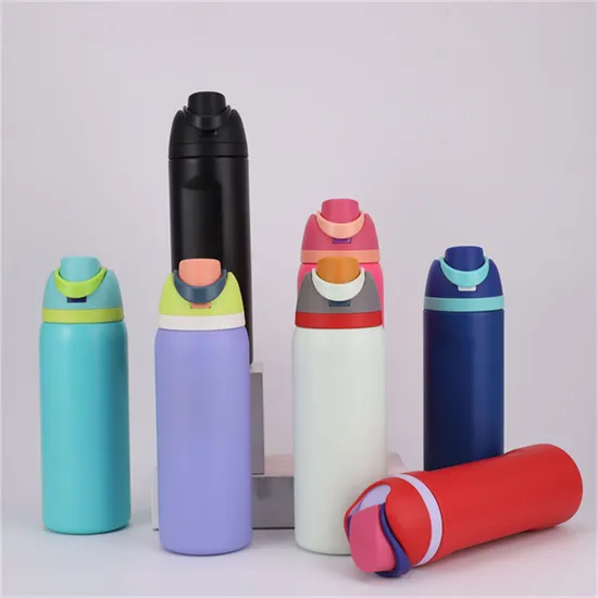 Stainless Steel Water Bottle with Straw Double Wall Insulated Water Bottle