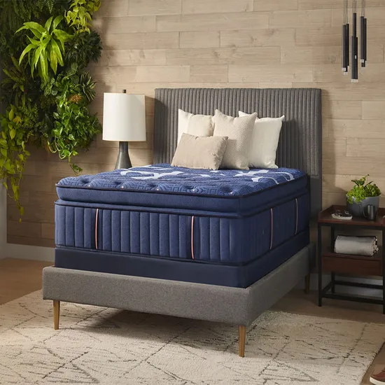 Great Standard Latest Design Eco-Friendly Queen Size Bed Mattress