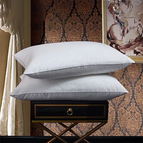 Wholesale 85/15 White Soft Goose Down Pillow, 48X74cm Set of 2 Down Pillows Suitable for Allergy Sufferers