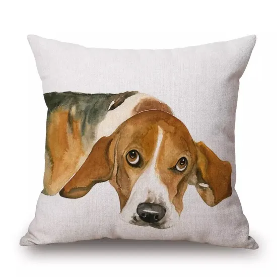 Chinese Manufacturer Cotton Weave Printed Duck Feather Mini Small Hand Hold Pillow Cushions