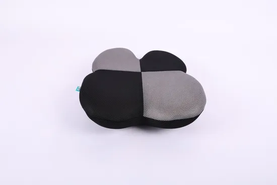 Brand New Wholesale Direct Sales New Trend Odor-Free High Quality Lumbar Cushion Support with New Design Wholesale