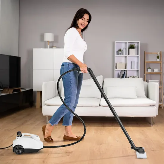 Multi Purpose Steamer Professional Household Cleaning Machine High Pressure and Temperature Steam Mop (SW618-C)