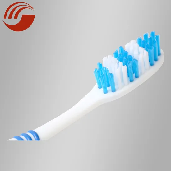Wholesale Private Hot Sale Toothbrushes Soft Label Toothbrush for Oral Clean