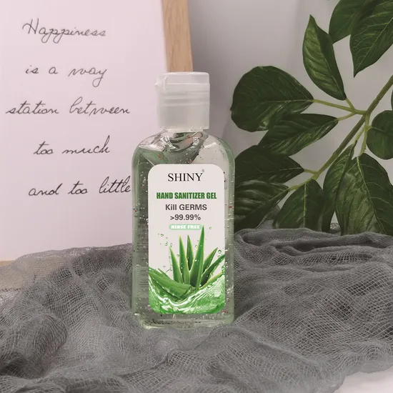 100 ml Antibacterial Rinse Free Instant Hand Sanitizer