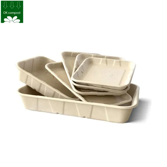 Sugarcane Bagasse 100% Compostable Square Deep Dish Plates