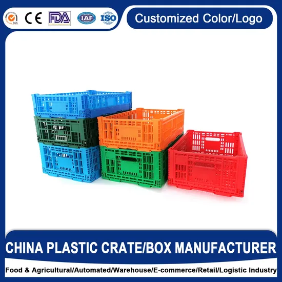 Factory Supply 600*400mm Polypropylene Folding Agriculture Vegetable Storage Food Collapsible Vented Foldable Plastic Crate for Supermarket