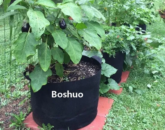 1 2 3 5 7 10 15 20 30 45 50 75 Gallon Geotextile Fabric Felt Garden Root Nursery Plant Seedling Potato Vegetable Grow Planting Planter Pot Bag China Supplier