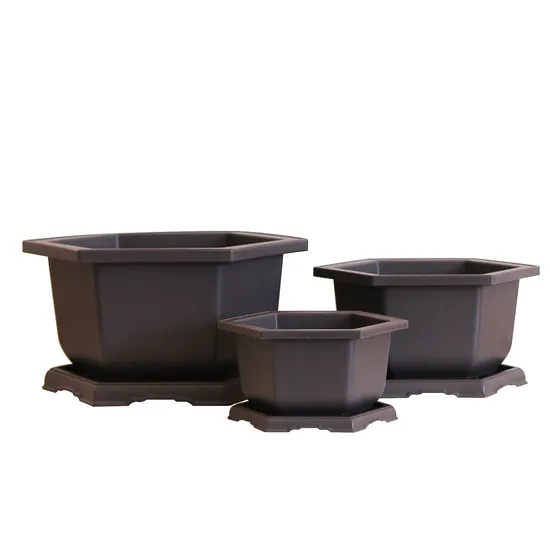 Chinese Factory Directly Wholesale New Hexangular Bonsai Pot for Training Plants