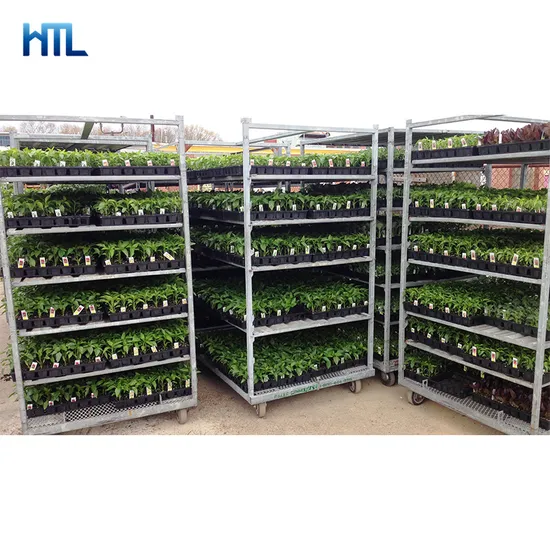 Customized Plant Nursery Greenhouse Dutch Flower Trolleys with 5 Shelves