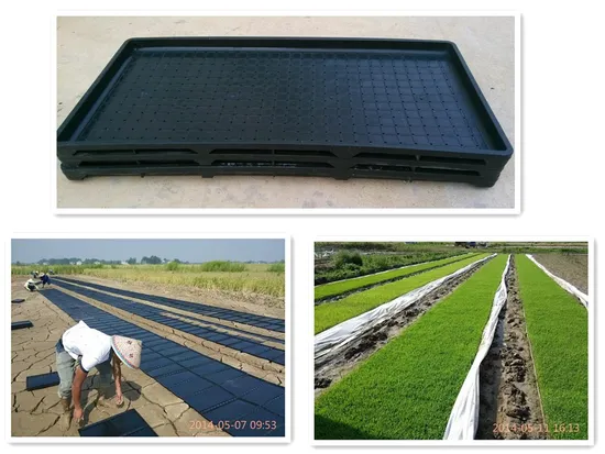 Hard Plastic Rice Seedling Tray for Rice Paddy Seed Nursery Sowing