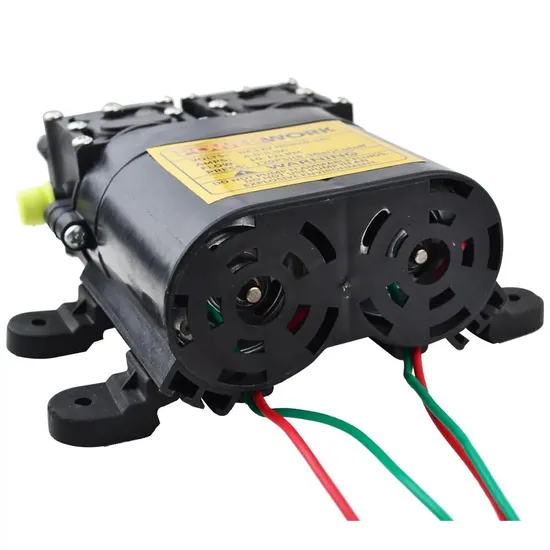High Flow Battery Operated Motor Water Sprayer Pump Electrical Micro Irrigation Double 12VDC Diaphragm Pumps