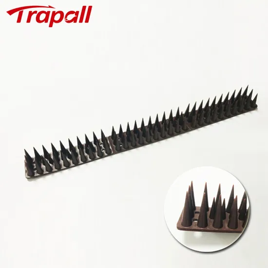 Oudoor Animal Control Pest Repeller Anti-Piegon Strips Bird Spike
