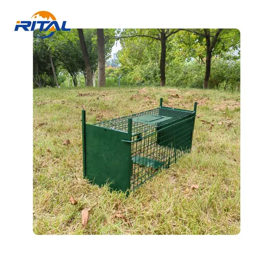 Humane Galvanized Iron Foldable Adjustable Live Fox Trapping Cage Trap for Sale