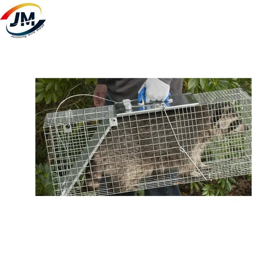 Humane Rat Live Animal Pest Catch Rodent Mouse Bait Control Trap Cage/Box
