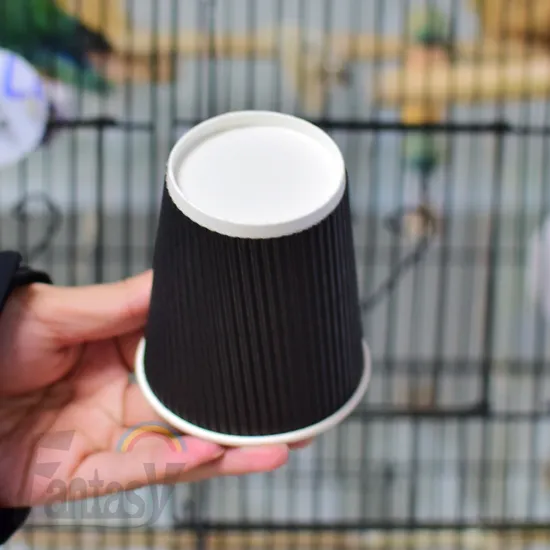 Biodegrade with Lid Ripple Wall Cups Customized Logo Disposable Drinking Coffee Cup