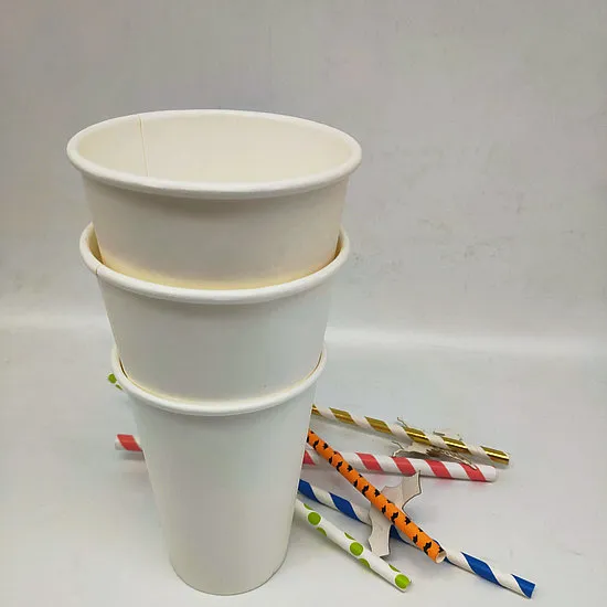 Compostable PLA Paper Cups Takeaway Eco Coffee Mugs with Lid