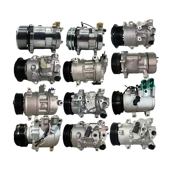 Sh-Qy-20006 Air Conditioning R134A 12V 24V Electric Car Auto AC Compressor Universal
