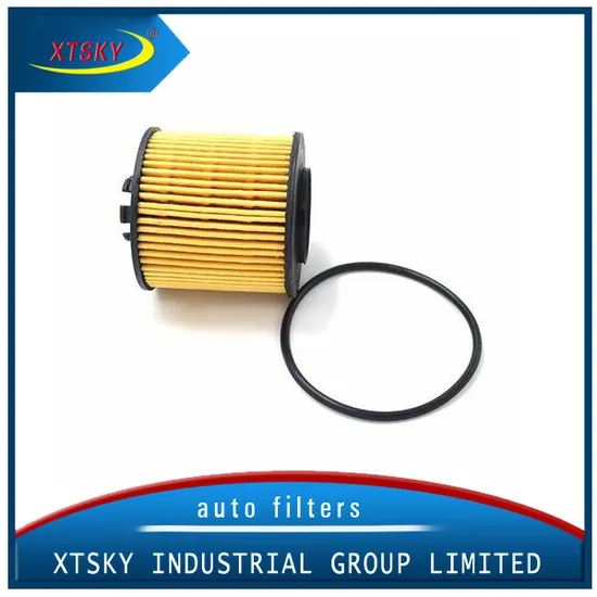 Xtsky High Quality Auto Part Oil Filter (03C115577A)