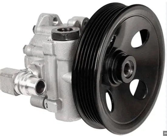 New Brand Power Steering Pump 0024662401 for Benz