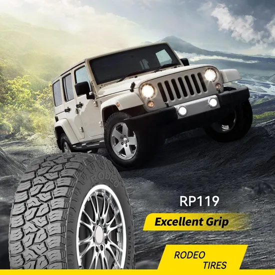 Goodride/Chaoyang Winter Tyre Sw608 205/55r16