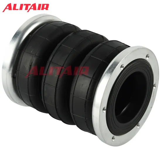 Universal Air Bags Air Suspension Kit 3s2300f/3e2300/3h2300/3b2400 with Aluminium Flange