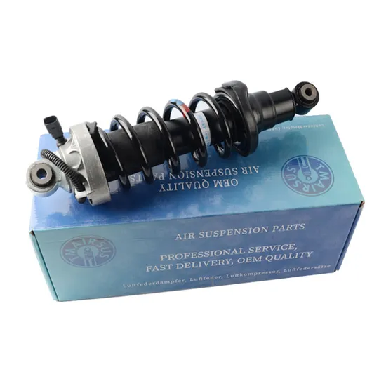 Front and Rear Air Suspension Shock Absorber for Au-Di R8 Air Strut 420512019al Coil Spring