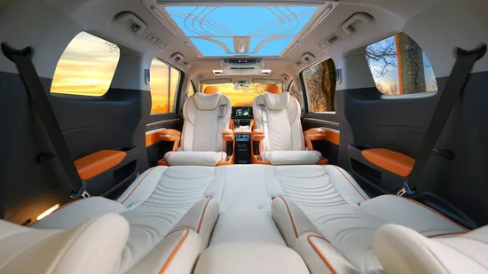 Luxury Car Sofa Bed Seat with Touch-Screen and Storage Armrest