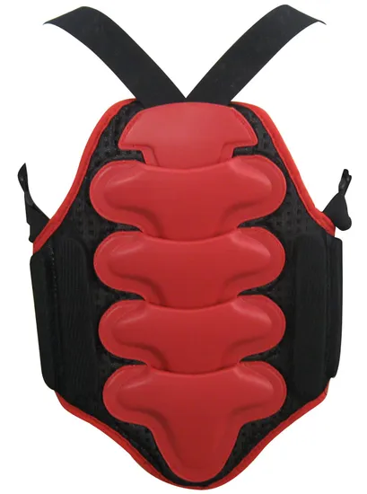 Professional and Factory Direct Supply Back Pad&Back Protector for Motorcycle