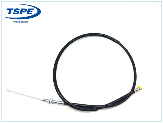 Popular Tata Motorcycle Spare Parts of Overrunning Clutch for Delta