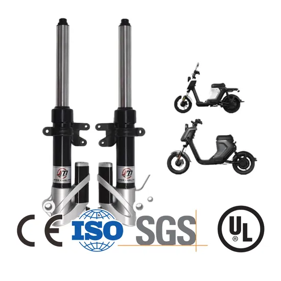 Motorcycle Shock Absorber Electric Vehicle Front Fork Motorbike