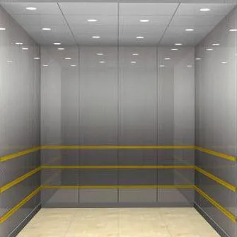 Asia FUJI Large Capacity Good Quality Car Elevator Lift