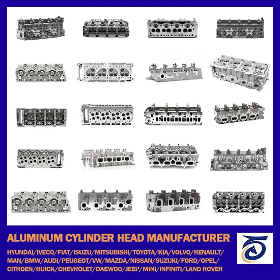 China Aluminum/Cast Iron Cylinder Head Manufacturer for Iveco Daily/FIAT/Ford/Hyundai/Isuzu/Cat/Mercedes-Benz/Mitsubishi/Nissan/Toyota/Volvo/Renault/Caterpillar