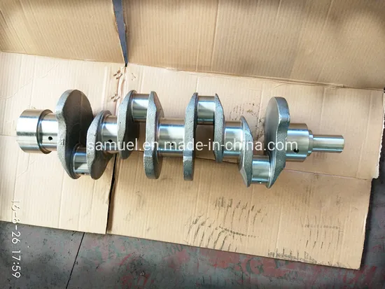 Crankshaft for Isuzu C240 Crankshaft with OEM Number 9-1230-413-0/8941396690/8941597680 Truck Engine Parts Casting Iron Auto Parts