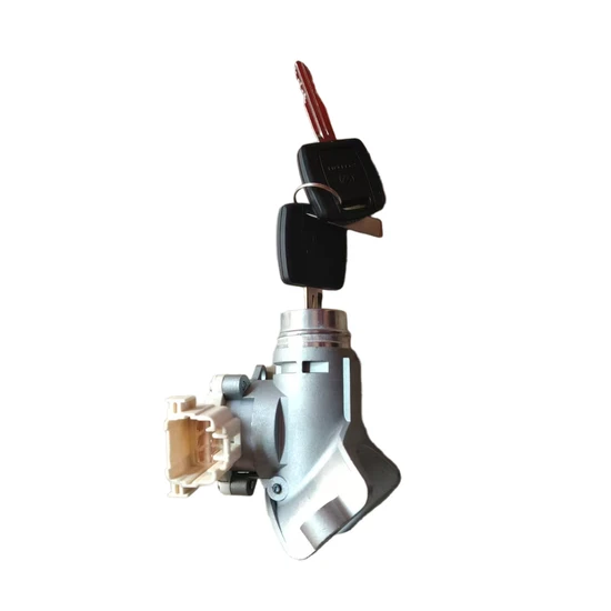 Various Types of Foton Auman Truck Ignition Lock Assemblies for Starting.