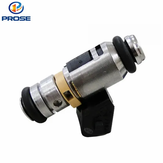High Performance Competitive Price Fuel Injector Iwp064 for FIAT Lancia Sw
