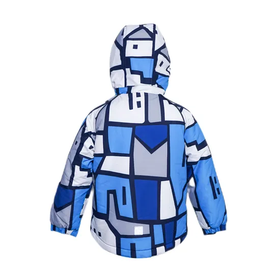 Kid′s Padding with Hooded Jacket, Outdoor Jacket Waterproof Jacket, Children Padded Jacket