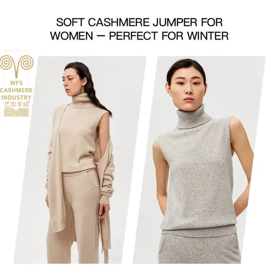 Women′s Cashmere Vest 100% Cashmere Sweaters Sleeveless Jumper Fashion Sweaters Factory Direct