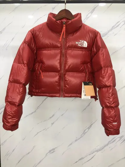 New Design Fashion North Face′s Winter Apparel Puffer Coat Jacket