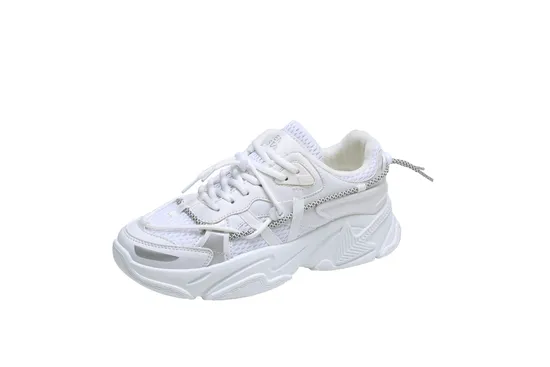 Hot Selling OEM Quality Women′s Comfortable Mesh Shoes Casual Shoes Fa-H01
