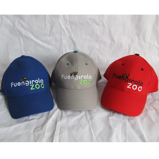 Zp059 Brushed Cotton Baseball Cap with Flat Embroidery